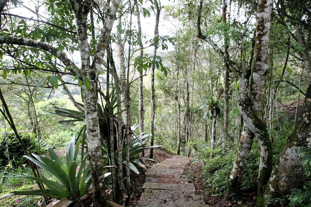 Aroso Paco Hotel Pedra Azul  Esterno foto A trail in the park